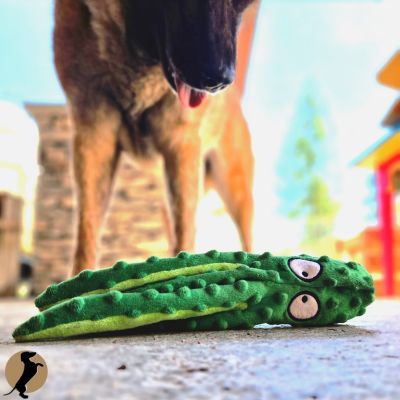 NoisyToy™ | Pieuvre bruyante - l'équilibre du chien