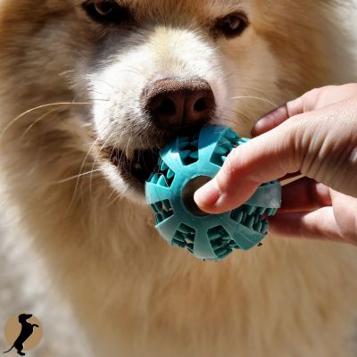 SweetBall™ | Balle à mâcher pour friandises - l'équilibre du chien